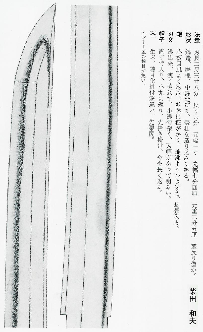 185.jpg