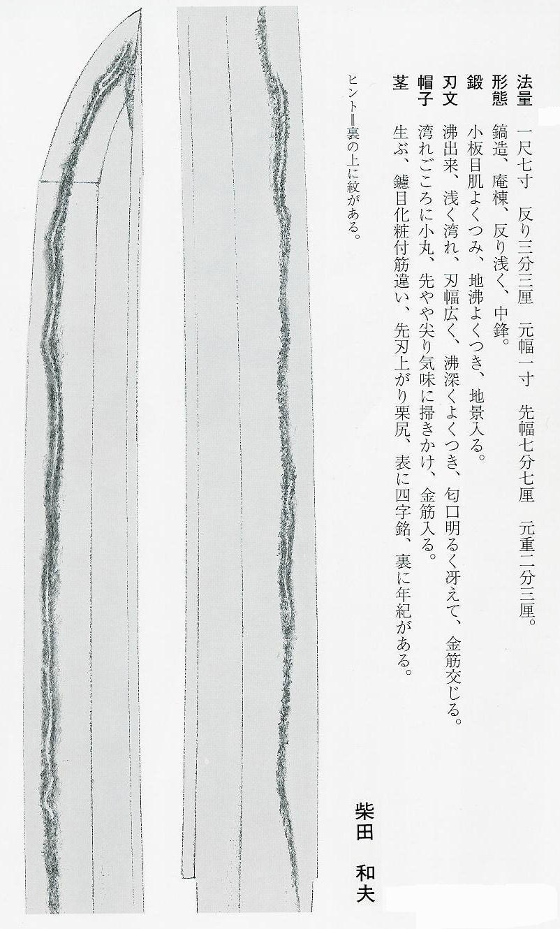 46.jpg